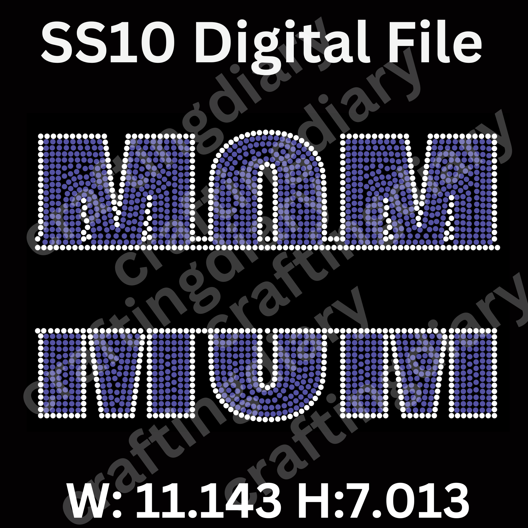 Digital File - 2025-04-28T092522.191